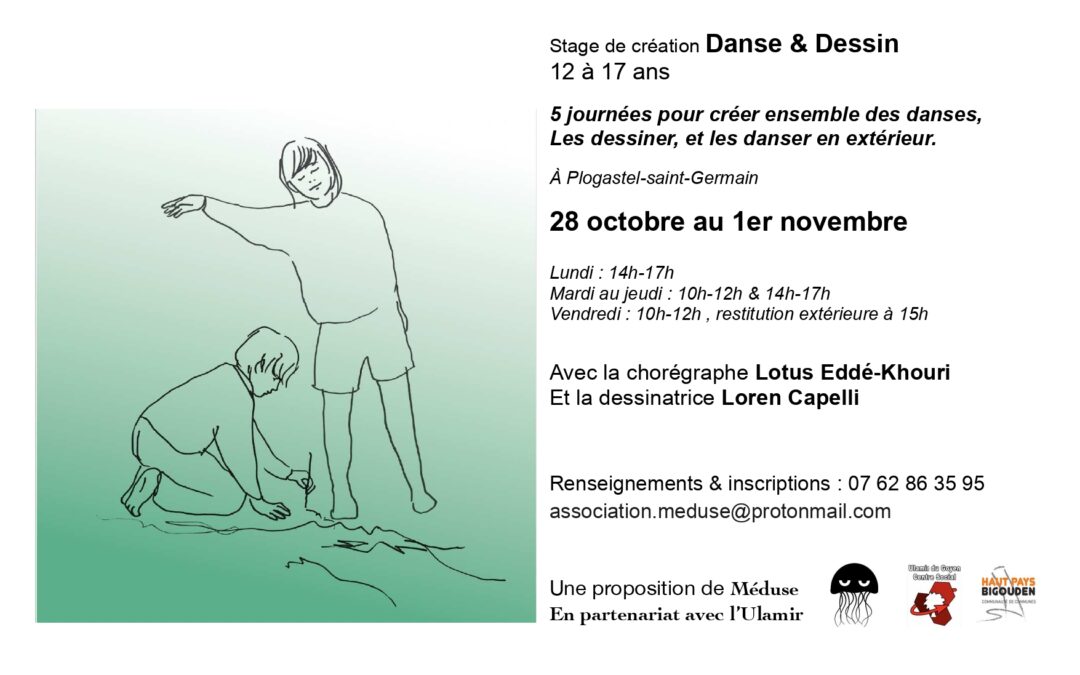 STAGES ET DESSINS – Association Méduse
