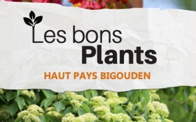 L’opération les bons plants est de retour