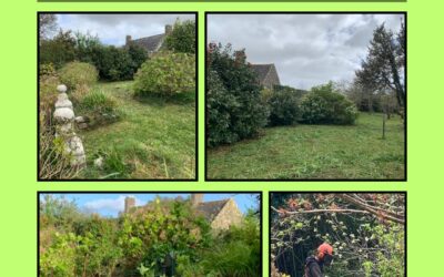 Maison Le Bail : appel à bénévoles