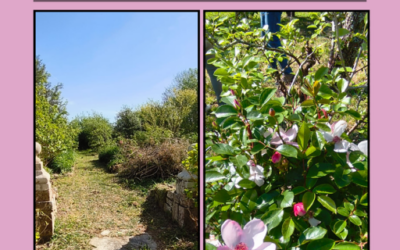 Appel à bénévoles : Une nouvelle après-midi de chantier participatif au Jardin Le Bail