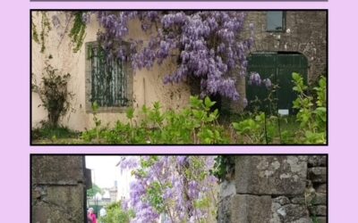 Maison Le Bail : appel à bénévoles