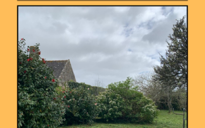 Maison Le Bail : appel à bénévoles