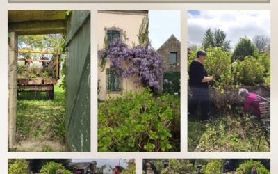 Retour sur le chantier participatif au jardin de la Maison Le Bail