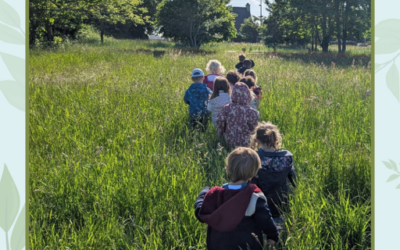 Sortie nature à l’école Georges Le Bail