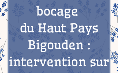 Inventaire du bocage du Haut Pays Bigouden