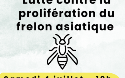 Réunion publique d&rsquo;information sur le frelon asiatique