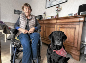 Un témoignage fort sur le rôle essentiel des chiens d&rsquo;assistance