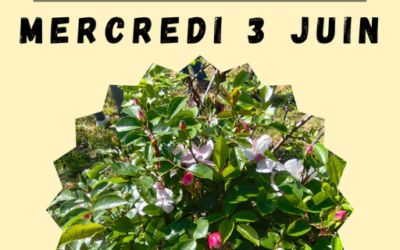 Une nouvelle après-midi de chantier participatif au jardin Le Bail