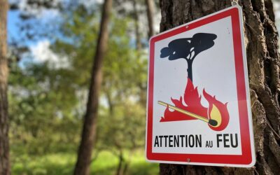 Renforcement des restrictions dans les massifs forestiers et landes