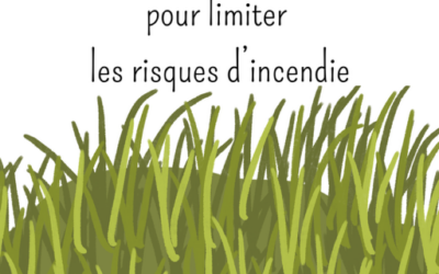 Terrains en friche : un entretien indispensable pour limiter les risques d’incendie