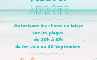 Autorisation des chiens tenus en laisse sur les plages de Plozévet