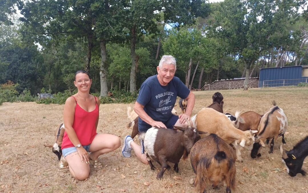 Le comice agricole approche