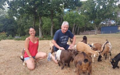 Le comice agricole approche